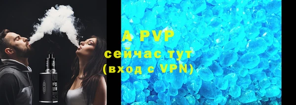 PSILOCYBIN Белокуриха