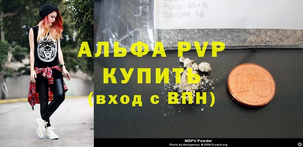 PSILOCYBIN Белокуриха