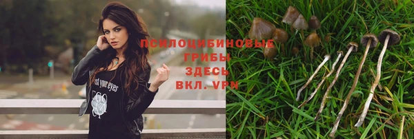 PSILOCYBIN Белокуриха