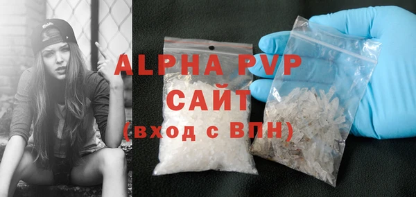PSILOCYBIN Белокуриха